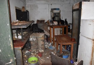 Δονούσα: Πρόστιμο πάνω από 1,7 εκατ. ευρώ στον 63χρονο που είχε 58 γάτες σε ακατάλληλες συνθήκες [εικόνες]