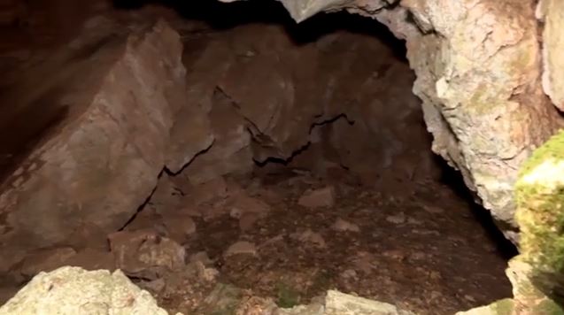 Ρευματιά: «Το θεωρώ άλυτο πρόβλημα» – Νέα στοιχεία για την υπόθεση της Αμαλίας Νικολοπούλου