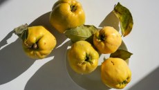 Αξίζει να το δοκιμάσεις: Το κυδώνι είναι «ταπεινό» και μας κάνει καλό