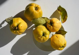 Αξίζει να το δοκιμάσεις: Το κυδώνι είναι «ταπεινό» και μας κάνει καλό