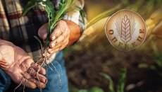 ΟΠΕΚΕΠΕ: Χάος με τις πληρωμές – Χωρίς ένα ευρώ μένουν οι αγρότες