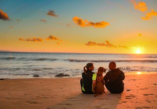 Αfterglow effect: Τα κατοικίδια «ξέρουν» πως να μας προκαλούν θετικά συναισθήματα