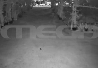 Φοινικούντα: Ηχητικό ντοκουμέντο για τη διπλή δολοφονία – Οι έξι βολές μέσα σε 11”