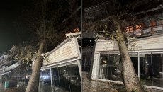 Ηγουμενίτσα: Τεράστιο πλατάνι έπεσε σε ταβέρνα από τους ισχυρούς ανέμους