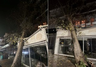 Ηγουμενίτσα: Τεράστιο πλατάνι έπεσε σε ταβέρνα από τους ισχυρούς ανέμους