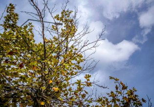 Καιρός: Άνοδος της θερμοκρασίας την Πέμπτη – Πού θα βρέξει