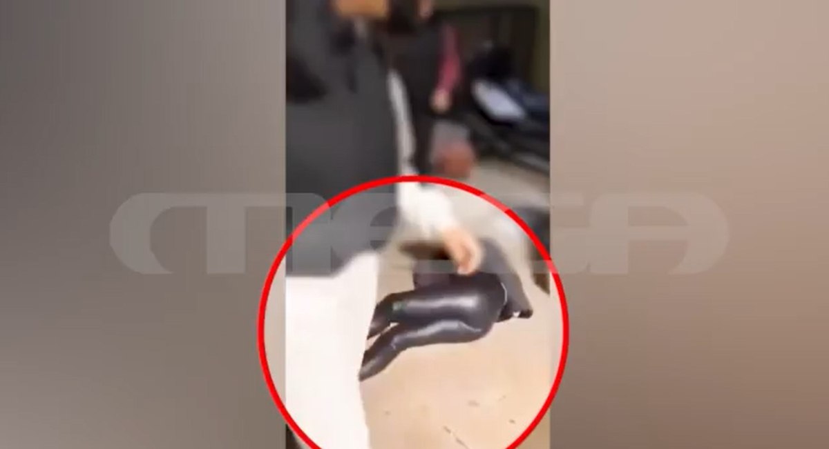 Πετρούπολη: Σοκαριστικό βίντεο με ξυλοδαρμό ανήλικης από συνομήλικές της – Την κλωτσούσαν πεσμένη στο πάτωμα