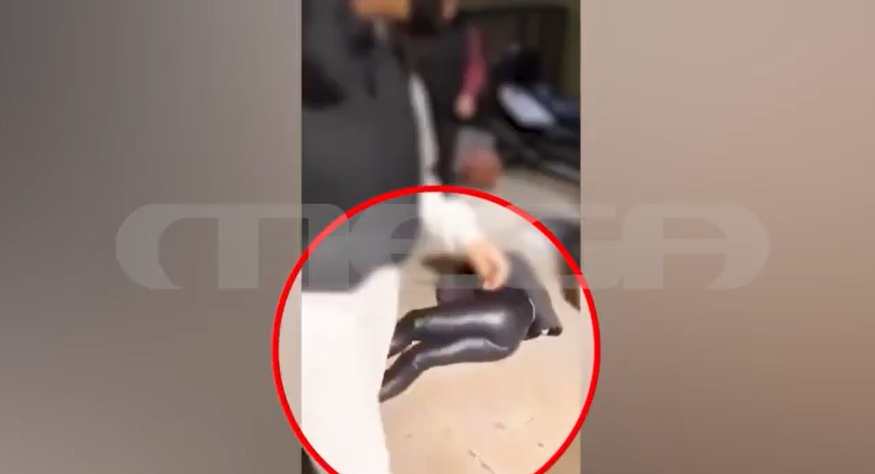 Πετρούπολη: Σοκαριστικό βίντεο με ξυλοδαρμό ανήλικης από συνομήλικές της – Την κλωτσούσαν πεσμένη στο πάτωμα