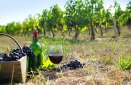 EU Wine Package ‘Reduced Alcohol’ Label Divides Industry