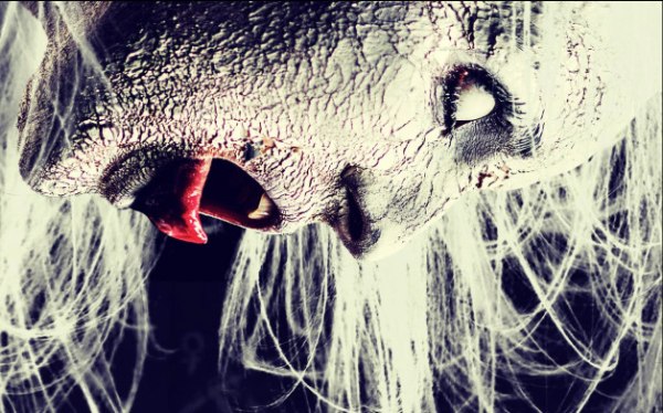 Η καρυδιά του Μπενεβέντο – Εκεί όπου οι μάγισσες επιστρέφουν κάθε νύχτα