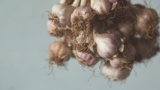 Είναι το σκόρδο το superfood που δεν ξέραμε;