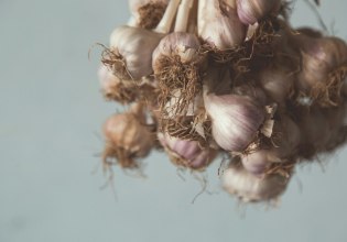 Είναι το σκόρδο το superfood που δεν ξέραμε;