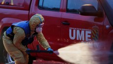 «Διαρροή από εργαστήριο» ίσως έφερε την πανώλη των χοίρων στην Ισπανία