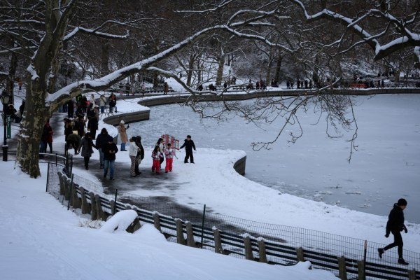 Χιόνι και πάγος δημιουργούν προβλήματα στις συγκοινωνίες των ΗΠΑ – Στα λευκά η Νέα Υόρκη