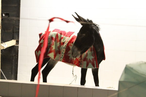 Η έκθεση All Eyes on Palestine στην Αθήνα – Η σύγχρονη τέχνη ως εργαλείο αντίστασης