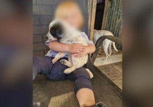 Τραγωδία στη Ζάκυνθο: Τι λένε εκπαιδευτές σκύλων για το περιστατικό με τον θάνατο του 2χρονου παιδιού