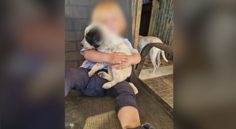 Τραγωδία στη Ζάκυνθο: Τι λένε εκπαιδευτές σκύλων για το περιστατικό με τον θάνατο του 2χρονου παιδιού