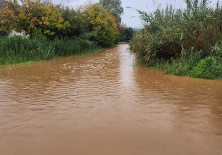 Αίτημα για κήρυξη σε κατάσταση έκτακτης ανάγκης του Δήμου Επιδαύρου λόγω Byron
