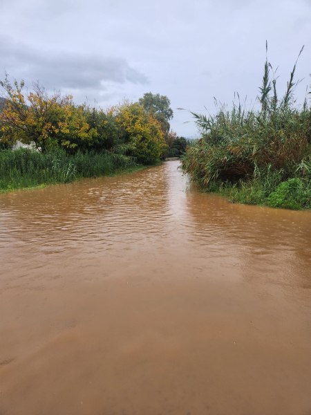 Αίτημα για κήρυξη σε κατάσταση έκτακτης ανάγκης του Δήμου Επιδαύρου λόγω Byron