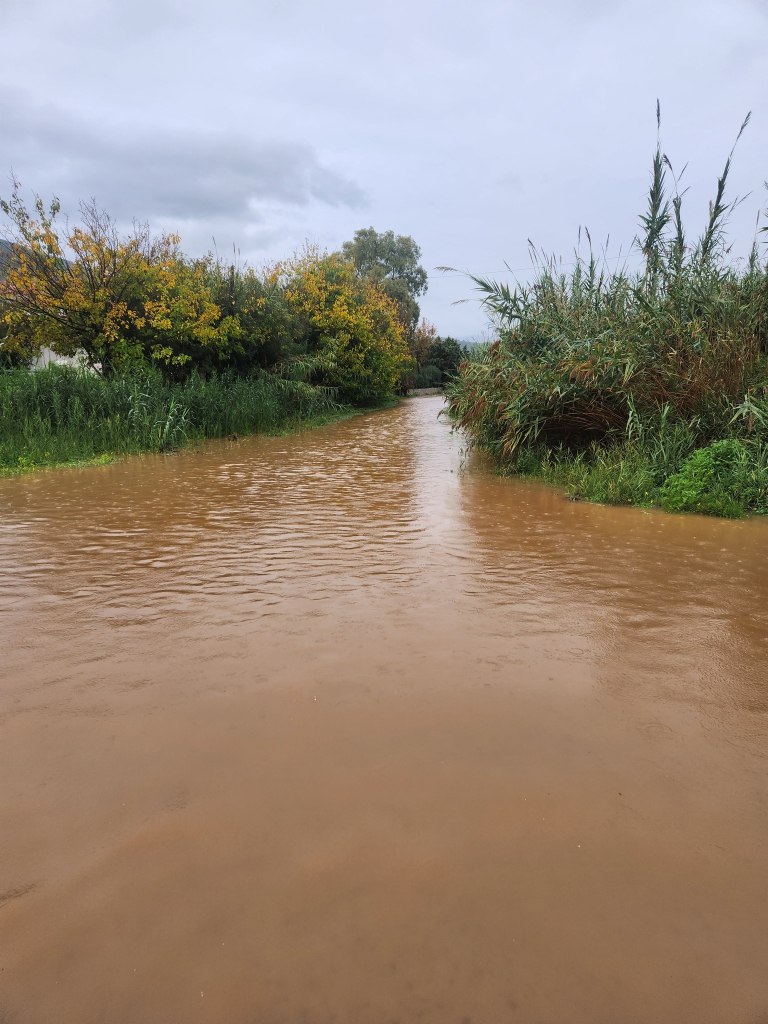 Αίτημα για κήρυξη σε κατάσταση έκτακτης ανάγκης του Δήμου Επιδαύρου λόγω Byron