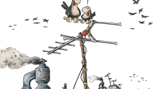 Αρκάς: Η «καλημέρα» της Κυριακής