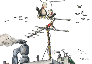 Αρκάς: Η «καλημέρα» της Κυριακής