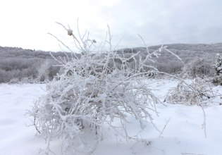 Καιρός: Ποδαρικό με τσουχτερό κρύο θα κάνει το 2026 – Προβλέψεις και για χιονοκαταιγίδες, τι θα γίνει στην Αττική
