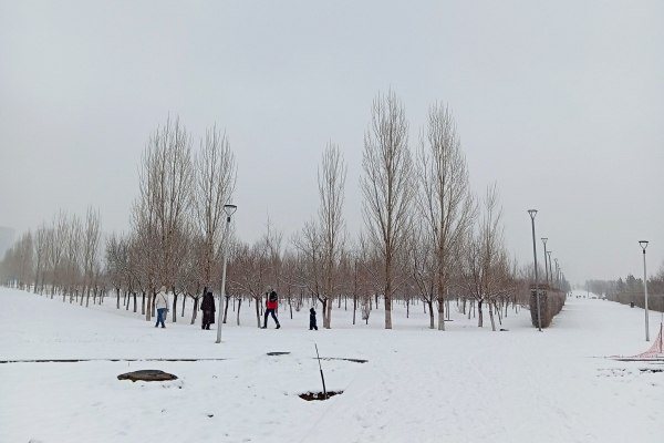 «Έπιασαν» δουλειά οι εκσκαφείς έξω από την «Astana Arena» – Στους -19 η θερμοκρασία πριν το Καϊράτ – Ολυμπιακός (vid)