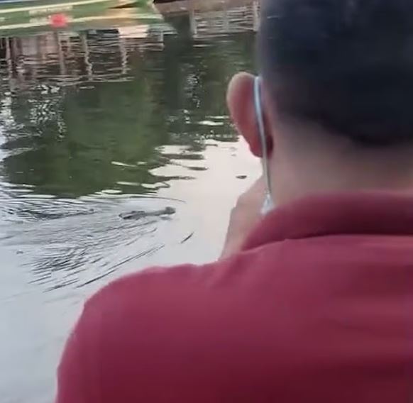 Ινδονησία: Φρικτός θάνατος για 10χρονο - Τον άρπαξε κροκόδειλος ενώ κολυμπούσε με φίλους του