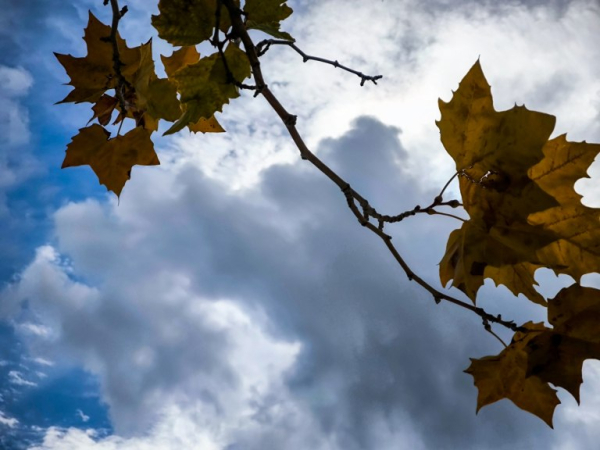 Καιρός: Η πρόγνωση για την Πρωτοχρονιά και τις επόμενες ημέρες – Πότε θα δούμε έντονα φαινόμενα