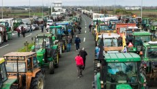 Αγρότες και κτηνοτρόφοι στο in: Όλα λάθος, απέναντι στον αγροτικό κόσμο – Θα κλιμακώσουμε με τρόπο που δεν έχετε ξαναδεί