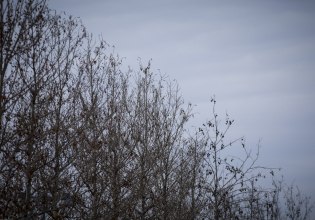 Καιρός: Συννεφιά με τοπικές βροχές και καταιγίδες – Πώς θα είναι τα Χριστούγεννα και την Πρωτοχρονιά