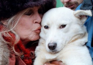 Η διαμάχη για την περιουσία της Μπριζίτ Μπαρντό – Ο γιος της διεκδικεί 65 εκατ. ευρώ από την Animal Foundation