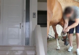 Κυπαρισσία: Νέα στοιχεία για την απαγωγή του κτηνιάτρου