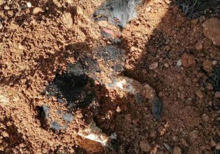 Θεσσαλονίκη: Ελεύθερος με όρους ο 90χρονος που έθαψε ζωντανό σκυλί