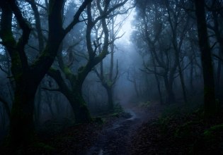 Φλόριντα: Φρικτή δολοφονία 14χρονης – Ανήλικοι την παρέσυραν στο δάσος, την πυροβόλησαν και την έκαψαν