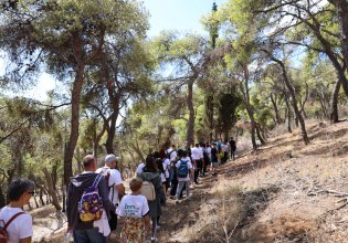Το Σπίτι μας Αλλάξει την Πόλη: Ένα πρόγραμμα της Praktiker Hellas για ένα πιο «πράσινο» 2025 εντός του αστικού ιστού