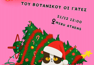 Χριστουγεννιάτικο bazaar για τις γατούλες του Βοτανικού
