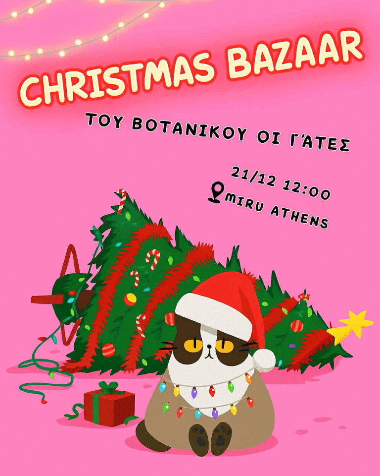 Χριστουγεννιάτικο bazaar για τις γατούλες του Βοτανικού