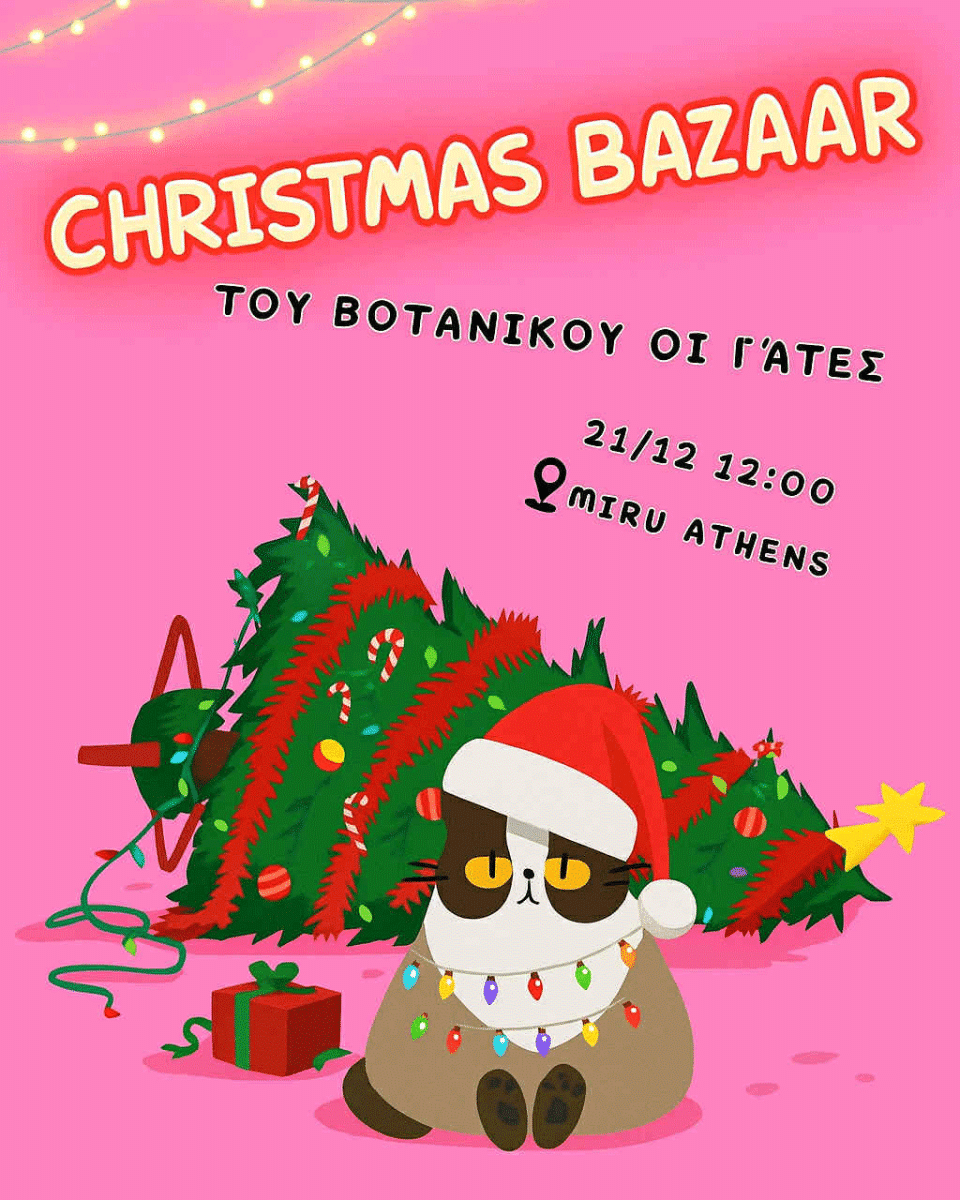 Χριστουγεννιάτικο bazaar για τις γατούλες του Βοτανικού