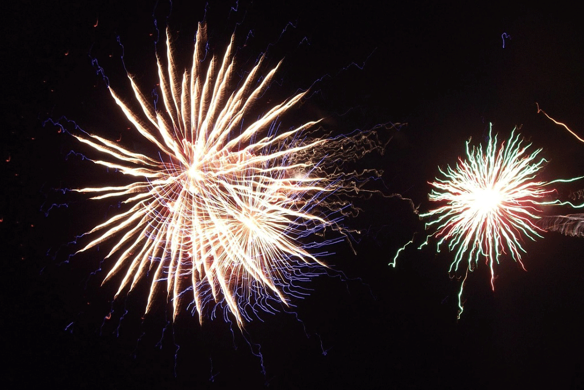 Πυροτεχνήματα: Ο φόβος και ο τρόμος για τον σκύλο – Πώς θα τον καθησυχάσουμε