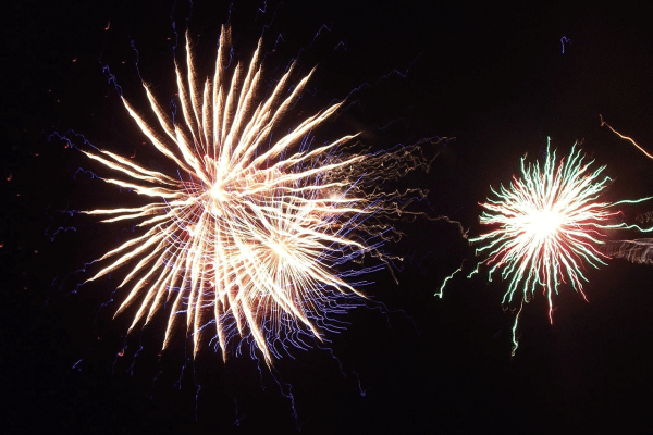 Πυροτεχνήματα: Ο φόβος και ο τρόμος για τον σκύλο – Πώς θα τον καθησυχάσουμε