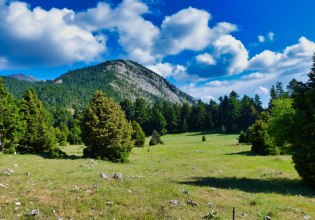 «Απάτητα βουνά» ο Πάρνωνας και τα Τζουμέρκα