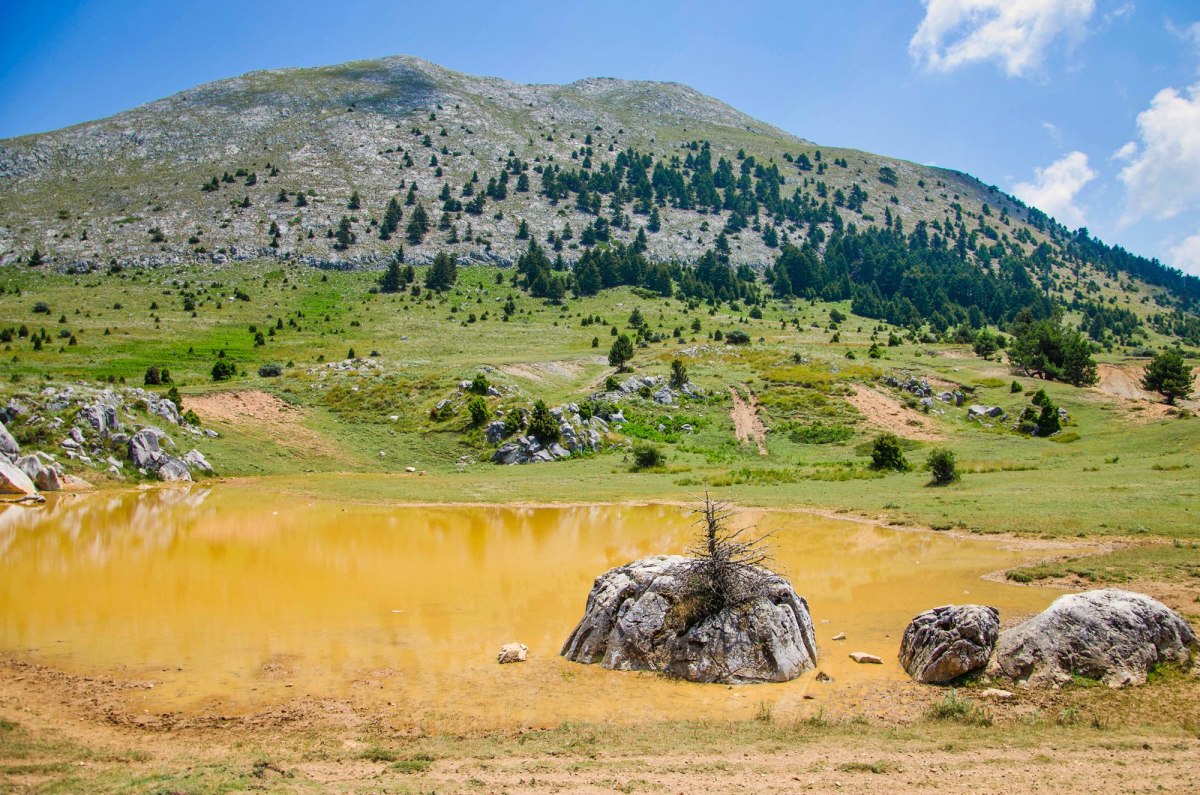H κορυφή «Μεγάλη Τούρλα» στον Πάρνωνα (Eleni Kalogeropoulou / CC BY-SA 4.0)