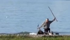 Αλβανία: Το βίντεο που δίχασε το ίντερνετ – Τουρίστρια σταματά ηλικιωμένο που χτυπούσε σκυλιά που του επιτέθηκαν