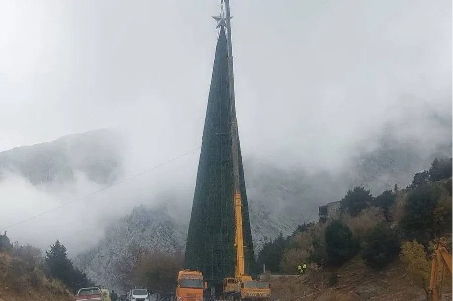 Χανιά: Ένα από τα μεγαλύτερα χριστουγεννιάτικα δέντρα της Ευρώπης φωταγωγείται στον Ομαλό