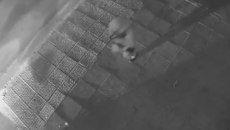 «Οι αστυνομικοί χτύπησαν τα παιδιά» – Τι καταγγέλλει μητέρα 15χρονου που ήταν στο ΙΧ που οδηγούσε ο γιος του Μ. Κατρίνη