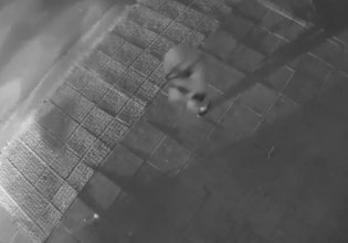 «Οι αστυνομικοί χτύπησαν τα παιδιά» – Τι καταγγέλλει μητέρα 15χρονου που ήταν στο ΙΧ που οδηγούσε ο γιος του Μ. Κατρίνη