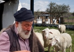 Ευλογιά προβάτων: Νοσηλεύεται με συμπτώματα εγκεφαλικού ο κτηνοτρόφος που αποχαιρέτησε με λυγμούς 450 πρόβατα