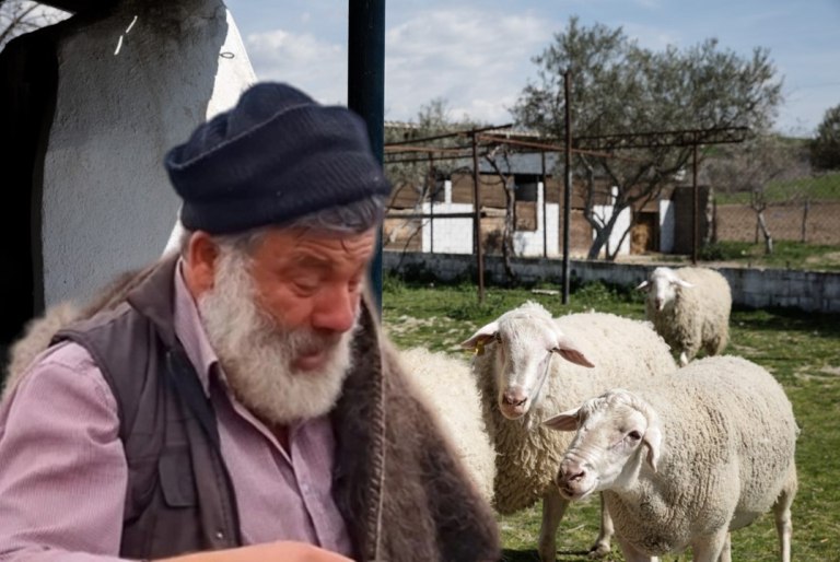 εικόνα που δείχνει τον αγρότη που νοσηλεύεται έπειτα από τη θανάτωση του κοπαδιού του στο πλαίσιο των μέτρων για την ευλογιά